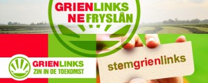 Lees meer over het artikel GrienLinks unaniem voor Dongeradeel Sociaal