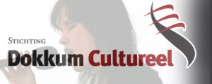 Lees meer over het artikel Geen subsidietoezegging voor 3 jaar voor Dokkum Cultureel