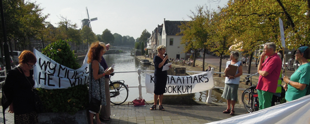 Bescheiden deelname Klimaatmars Dokkum, wel veel bijval