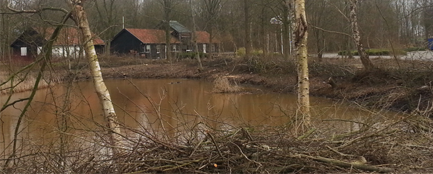 Stuur uw foto’s van de kaalslag van bomen