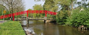 Lees meer over het artikel Reigersbrug wordt te steil