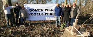 Lees meer over het artikel Dongeradeel Sociaal in actie tegen bomenkap