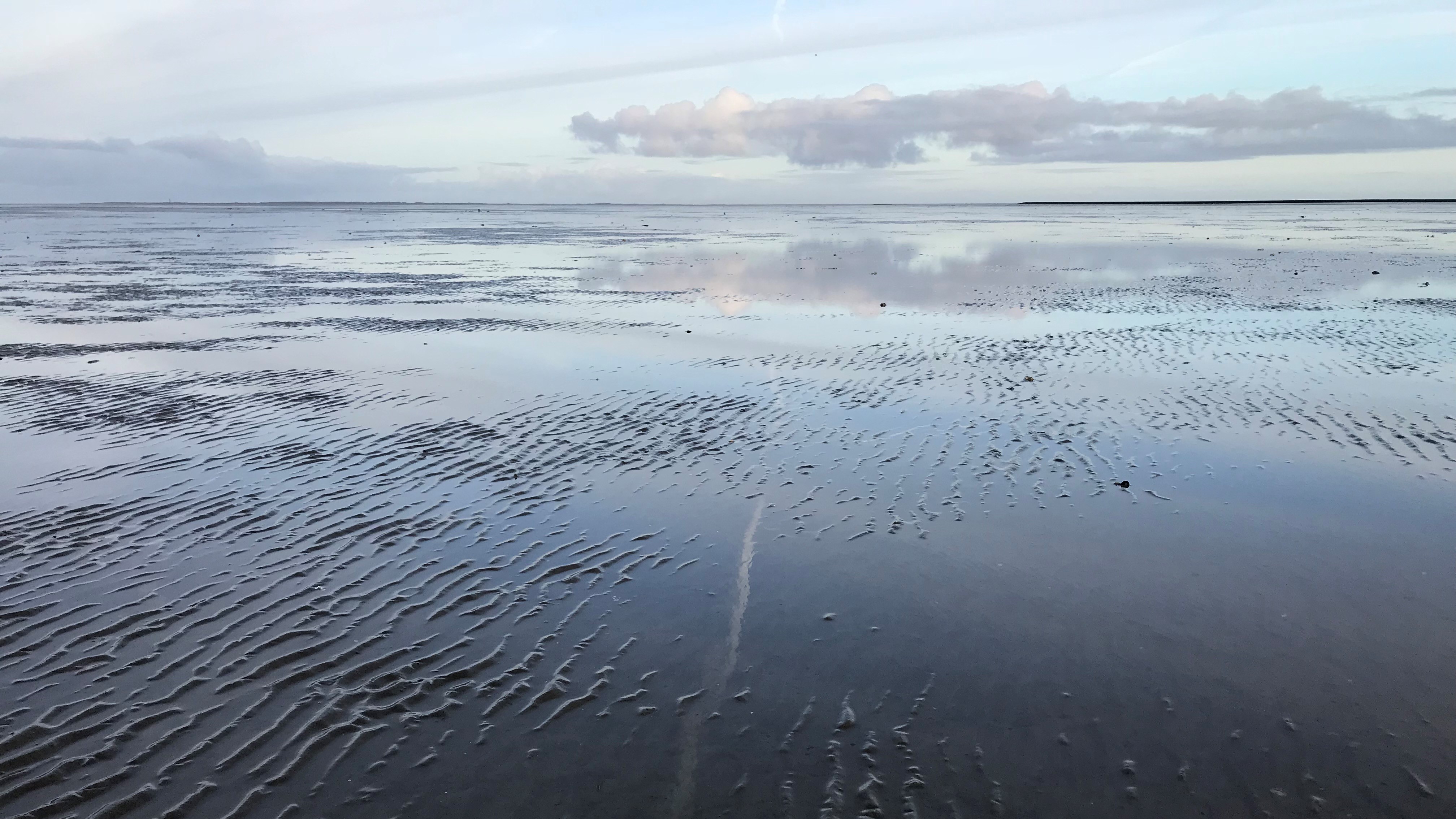 Brief aan Tweede Kamerleden over draagvlak gaswinning Waddenzee