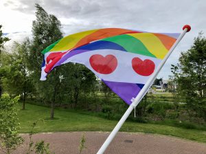 Lees meer over het artikel De vlag uit voor Fryslân regenboogprovincie!